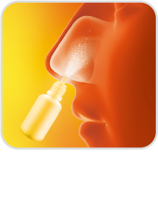 코 점막에 넓게 분사해 줍니다.
