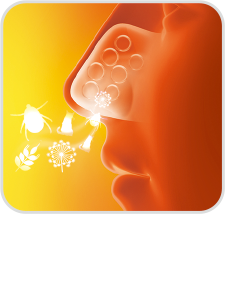 마이크로 입자가 보호막을 형성합니다.