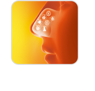 보호막이 알러지 유발물질에 대한 오염을 방지 및 보호합니다.